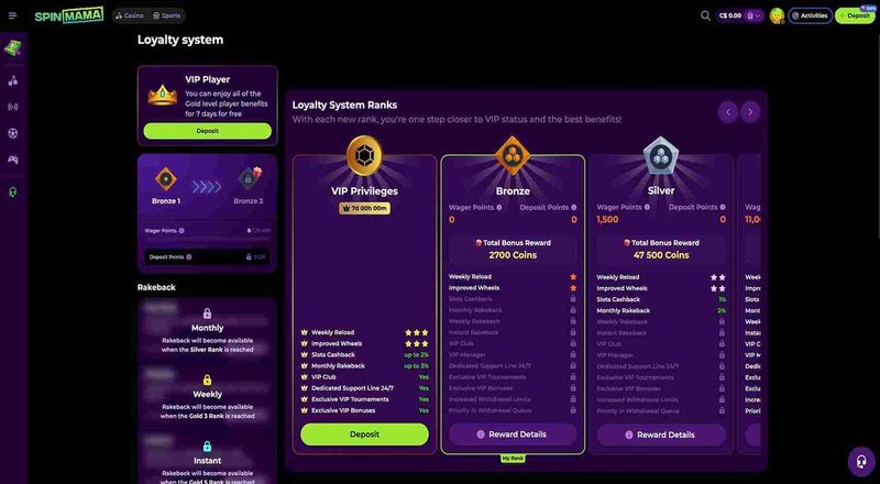 Learn about spinmama